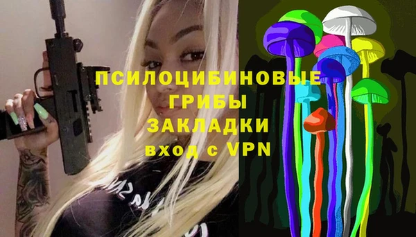 spice Армянск