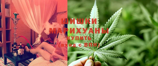 прущие крисы Аркадак
