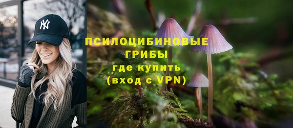 spice Армянск