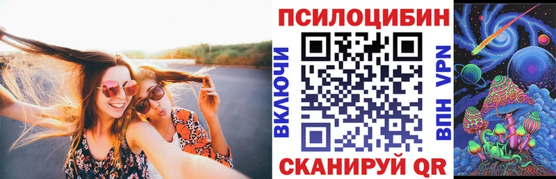 продажа наркотиков  Зеленодольск  Галлюциногенные грибы мухоморы 
