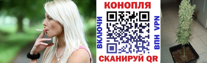 МАРИХУАНА семена где продают Зеленодольск
